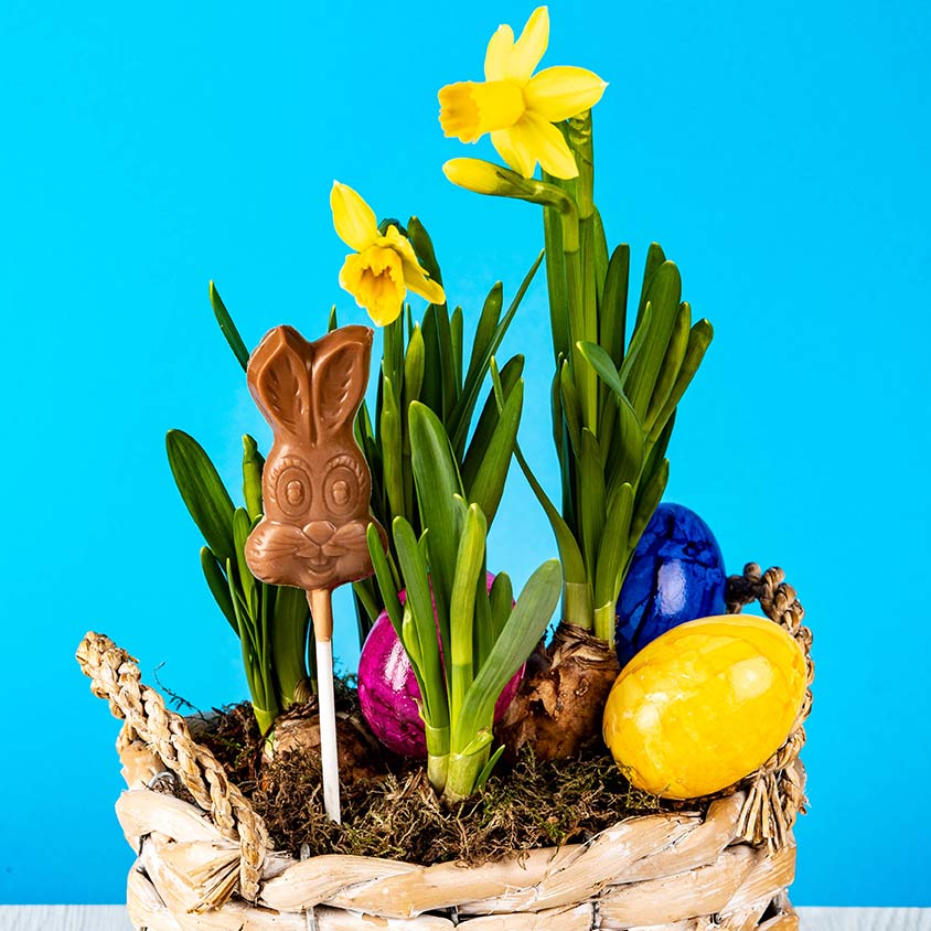 Chocolate Easter Bunny Lollipop